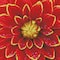Diamond Dotz® Intermediate Dahlia with Frame Diamond Painting Kit